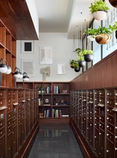 a long row of lockers filled with lots of books next to plant pots and hanging plants