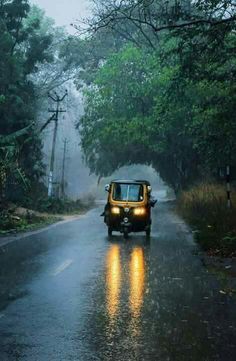 a yellow jeep driving down a rain soaked road in the middle of trees and bushes