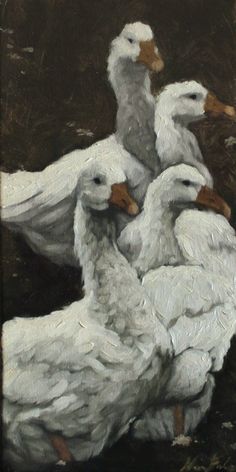 three white ducks sitting on top of each other in front of a black background,