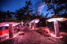 an outdoor area with hay bales and lights in the night sky, surrounded by trees