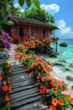 flowers are growing on the side of a wooden walkway next to an ocean with a house in the background