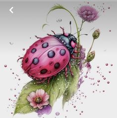 a ladybug sitting on top of a green leaf next to pink flowers and water droplets