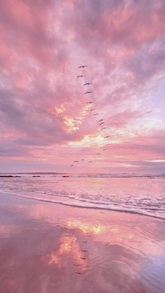 a flock of birds flying over the ocean under a pink sky at sunset or sunrise