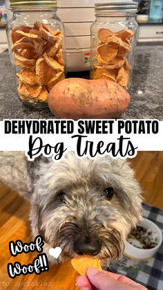 a dog is eating some food out of a bowl on the counter and another photo has been taken