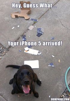 a dog laying on the ground with its mouth open next to a pile of trash