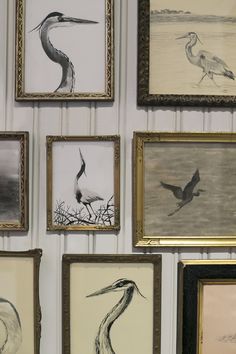 several framed pictures are hanging on the wall next to each other with birds painted on them