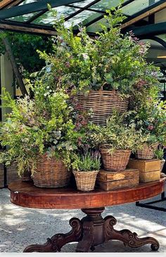 a table topped with potted plants on top of a wooden table under a glass roof