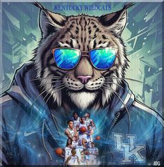 a tiger with sunglasses on it's face and the words kentucky wildcats in front of it