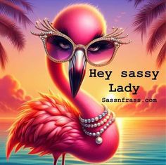 a pink flamingo wearing a mask and pearls on its neck with the words hey sassy lady