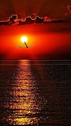 a bird flying over the ocean at sunset