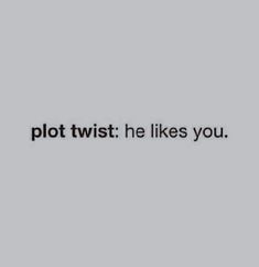 the words plot twist he likes you are in black and white on a gray background