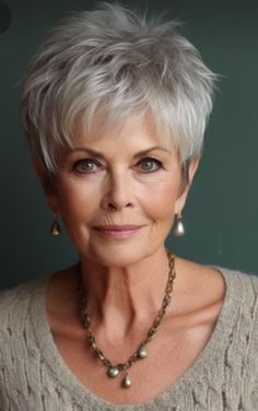 Silver Hairstyles, Spiked Hair, Short Hair Over 60, Short Hairstyles For Thick Hair, Hairdos For Short Hair, Beautiful Wigs, Hair Haircuts