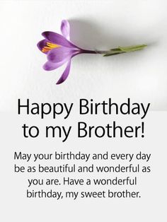 a birthday card with a purple flower and the words, happy birthday to my brother