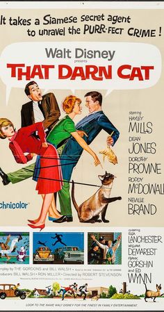 that darn cat movie poster