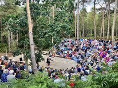 a large group of people standing on top of a wooden platform in the middle of a forest