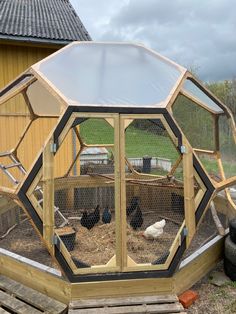 an outdoor chicken coop with chickens in it