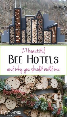 the words bee hotels and why you should build one