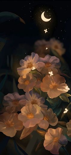the flowers are blooming in the night sky
