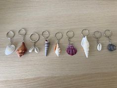 six seashells are arranged in a row on a wooden surface, with one keychain to the side