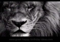 a black and white photo of a lion's face with the words happy birthday on it