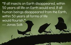 three bugs sitting on top of a tree branch with a quote from jonas salk