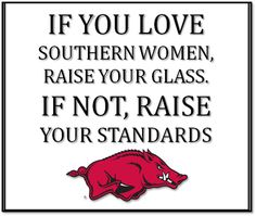 a sign that says if you love southern women raise your glass if not raise your standards