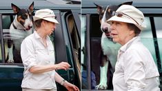Princess Anne, the Princess Royal is a dog lover just like her late mother Queen Elizabeth II. However, her beloved fleet of English bull terriers have been the centre of negative attention more than once for attacking humans and other dogs - details
