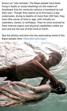 the man is swimming in the water with an octopus