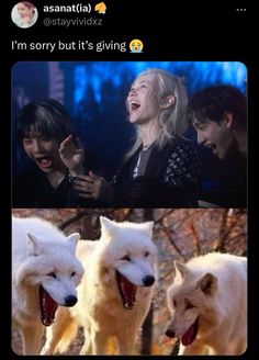 two white wolfs with their mouths open in front of the camera, and an image of