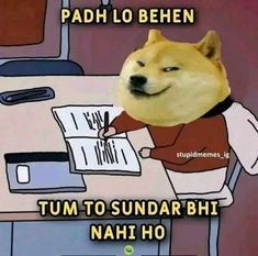 a dog that is sitting at a desk with some papers in front of him and the caption reads, padh lo behen tum to sundar bhi nah ho