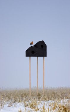 two wooden sticks sticking out of the ground in front of a black structure with birds perched on top