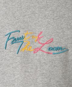 the fruit of the loom t - shirt in grey with multicolored lettering