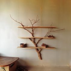 there is a tree with shelves on the wall