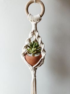 a potted plant hanging from a macrame rope with a succulent in it