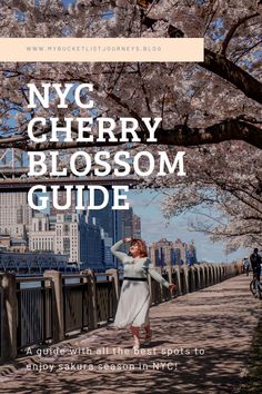 NYC Cherry Blossom Guide New York March, Roosevelt Island, Riverside Drive, York Travel, Riverside Park, New England Travel, Washington Square Park, Long Island Ny, Travel Board