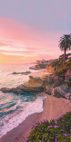 the beach is lined with purple flowers and palm trees in front of houses on the cliff