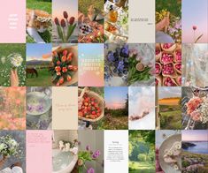 a collage of pictures with flowers and animals