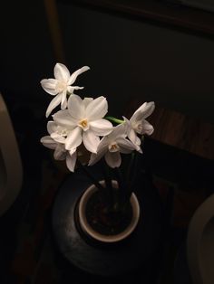 some white flowers are in a black vase