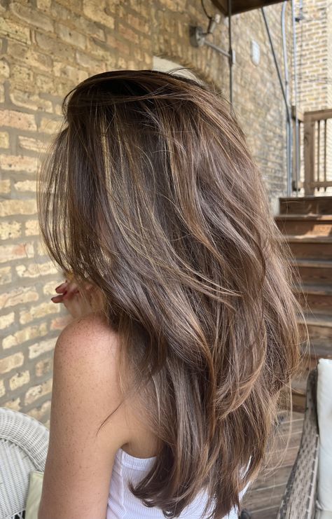 Brown Hair Layers Highlights, Sun Kissed Burnett, Haircut With Highlights Brunettes, Layered Highlights Brown Hair, Dark Honey Highlights On Dark Hair, Brunette Hair With Blonde Highlights Long Layers, Brown Hair With Layers And Highlights, Light Hair With Lowlights, Brown Hair W Dimension