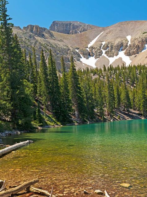 Exploring Nevada's Beauty: Alpine Teresa Lake in Great Basin National Park Florida National Parks, Summer Scenery, National Park Passport, Great Basin National Park, Sunny Summer Day, Great Basin, Green Book, Hiking National Parks, National Park Road Trip