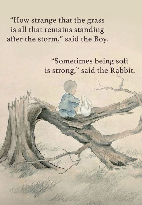 Strength Quotes, The Rabbit, Deep Thought Quotes, Quotable Quotes, A Quote, Wise Quotes, Pretty Words, A Boy, Pretty Quotes