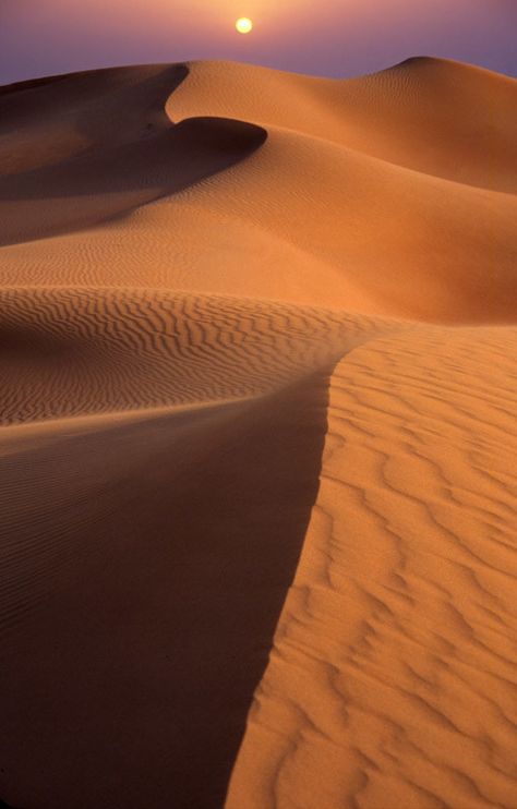 Abu Dhabi, Deserts Of The World, Desert Life, The Dunes, Sand Dunes, United Arab Emirates, The Sand, Antelope Canyon, Historical Sites
