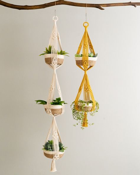 Introducing one of our latest collection from BeanDaikon! If you’re a true plant lover, this accessory is a must-have to elevate the charm of your lovely plants. Our Macrame Plant Hanger not only saves space but also adds a fresh, stylish touch to your home. 🌱✨ Check out more at: https://beandaikon.com/products/2-tiers-macrame-plant-holder-for-stylish-home-and-balcony-decor or click the link in our bio to shop now. 🛒🏡 #BeanDaikon #MacramePlantHanger #PlantLovers #HomeDecor #NewCollection #I... Plant Pot Hanger, Outdoor Plant Hanger, Planter Outdoor, Hanger Plant, Tiered Planter, Dream Catcher Craft, Small Macrame, Pot Hanger, Macrame Plant Holder