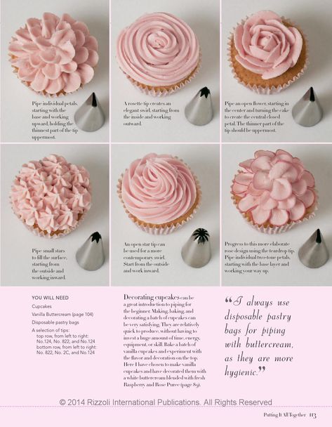 Cake Design Templates, Different Tips For Decorating Cakes, How To Make Flowers With Icing Tips, Frosting Mini Cupcakes Techniques, Cute Cupcake Icing Ideas, Cupcake Tip Guide, Fundraiser Cake Ideas, How To Use Cake Decorating Tips, Cake Decoration Tips