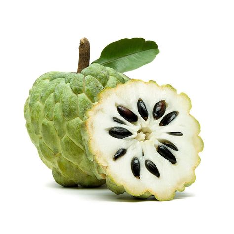 Sugar Apple Fruit, Custard Apple, Sugar Apples, Kinds Of Fruits, Fruits Images, Apple Seeds, Green Fruit, Tree Seeds, Apple Fruit