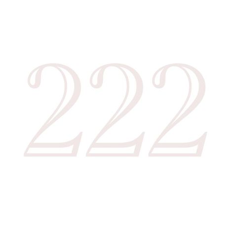 Icons PNG Angel Number 222