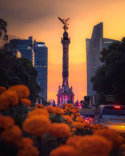 https://www.instagram.com/p/CVjXk0MjVwL/?utm_medium=share_sheet Mexico City, México City, Favorite City, Dia De Muertos, Cn Tower, Seattle Skyline, Happy Places, Monument, The Outsiders