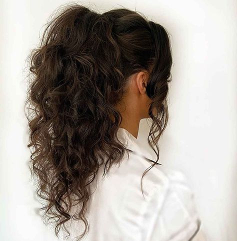 22 Examples of the Best High Ponytail Ideas You'll Ever See Curled Hair High Ponytail, Messy Wavy Ponytail Hairstyles, Long Curly Hairstyles Ponytail, High Ponytail Hairstyles For Prom Curls, Curly Hair Formal Ponytail, Curly Wavy Ponytail, Ponytail Style For Wedding, Not Boring Ponytail, Homecoming Hairstyles Ponytail Curls