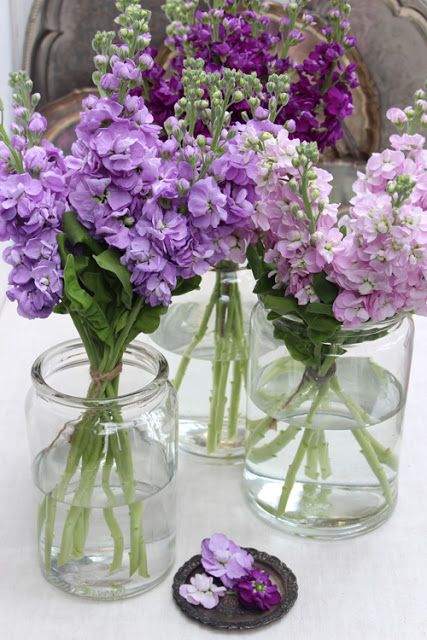 A Bunch for the Weekend-# 77-Pink and Purple Stock Flowers-Ingrid Henningsson-Of Spring and Summer Lilac Arrangements Simple, Stock Flower Arrangements, Stock Flower Bouquet, Lilac Flower Arrangements, Purple Stock Flower, Stocks Flowers, Matthiola Incana, Purple Bridesmaid Bouquets, Stock Flowers