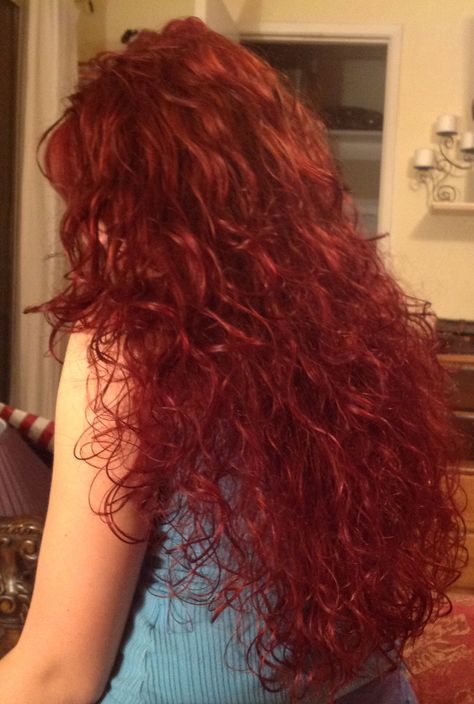 Wild Curly Red Hair, Red Hair Color On Curly Hair, Long Curly Red Hair Aesthetic, Red Curly Wolfcut, Red 2c Hair, Red Cherry Hair Curly, Long Curly Red Hair Dyed, Curly Long Red Hair, Red Dyed Hair Curly